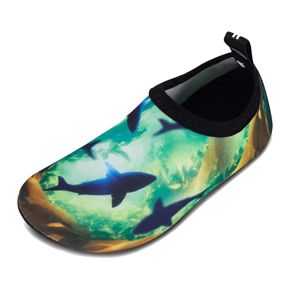 Hc Shark