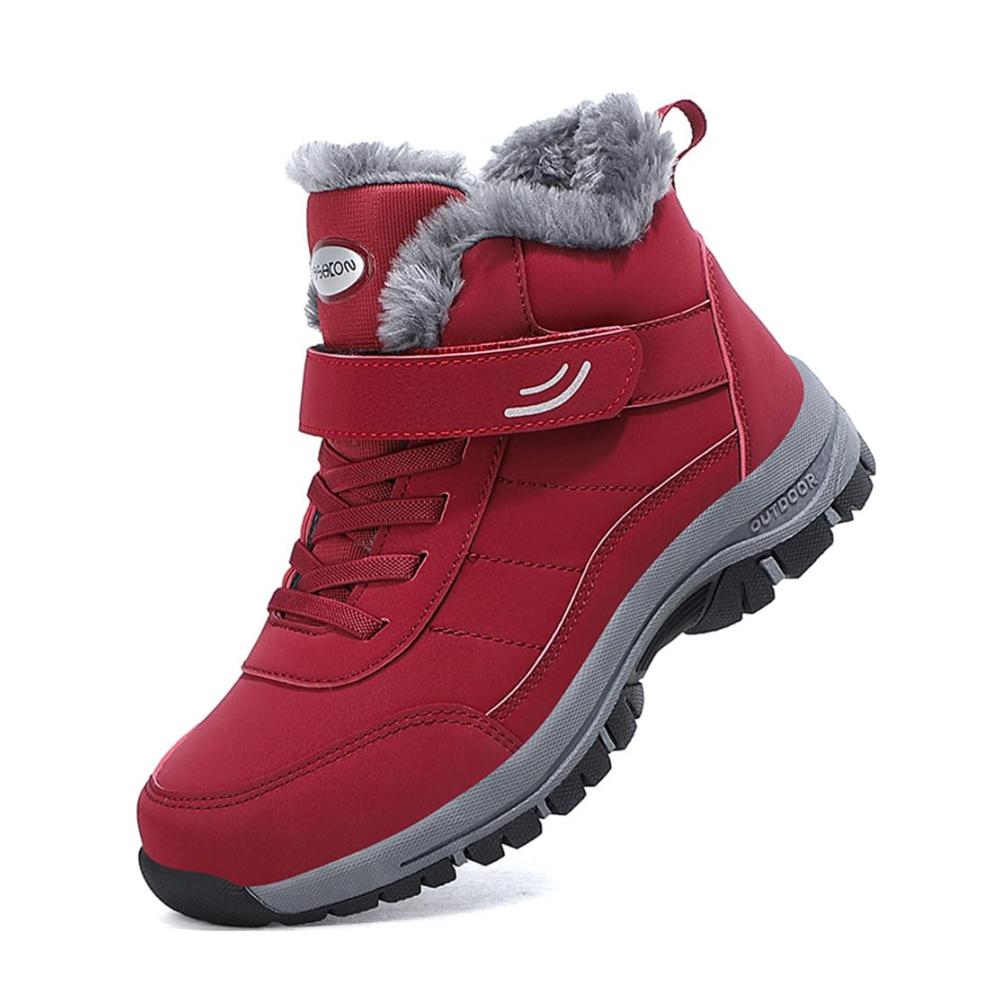 2936jujube Rot