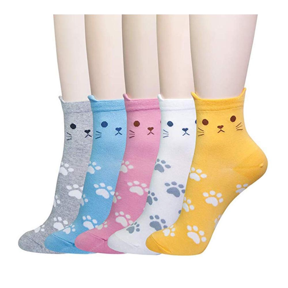5 Cat Footprints