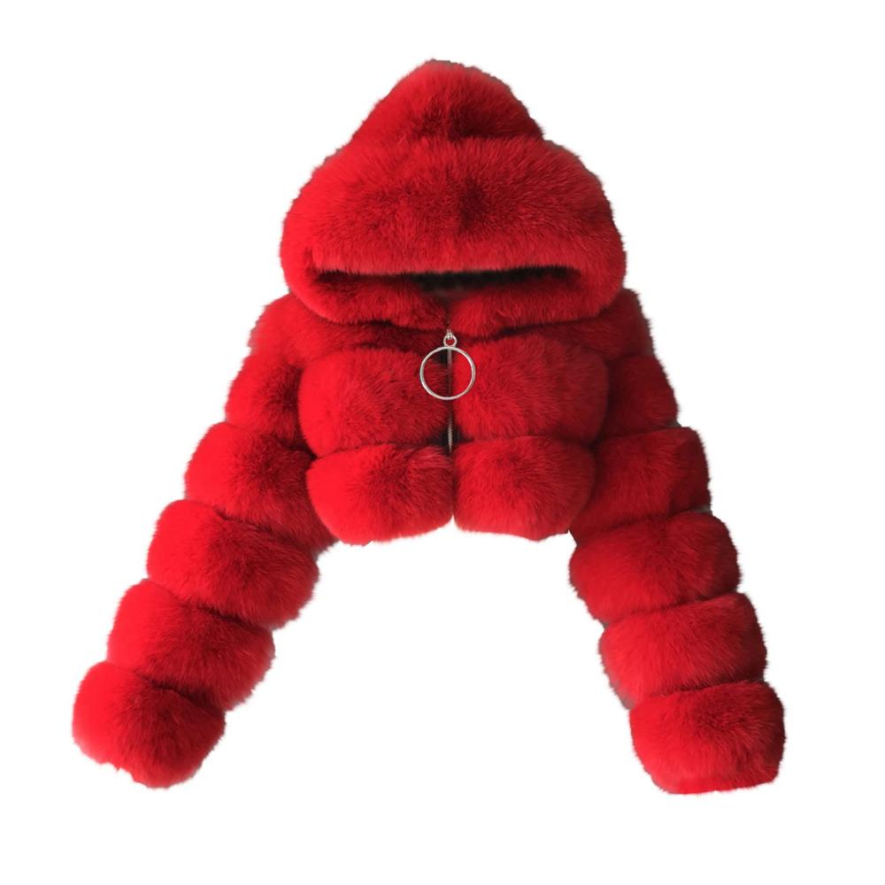 Rot