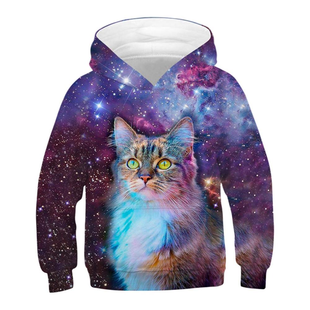 Stern Katze