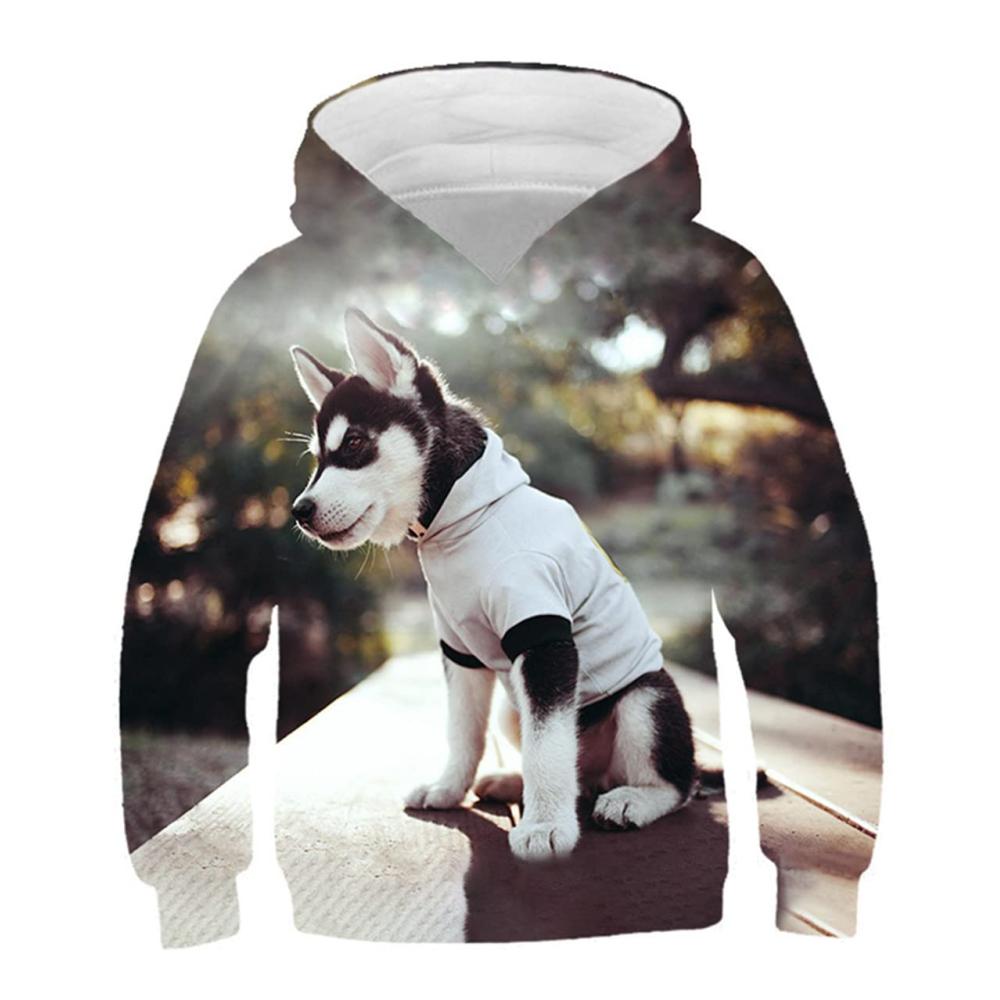 Husky in Kapuzenpullover