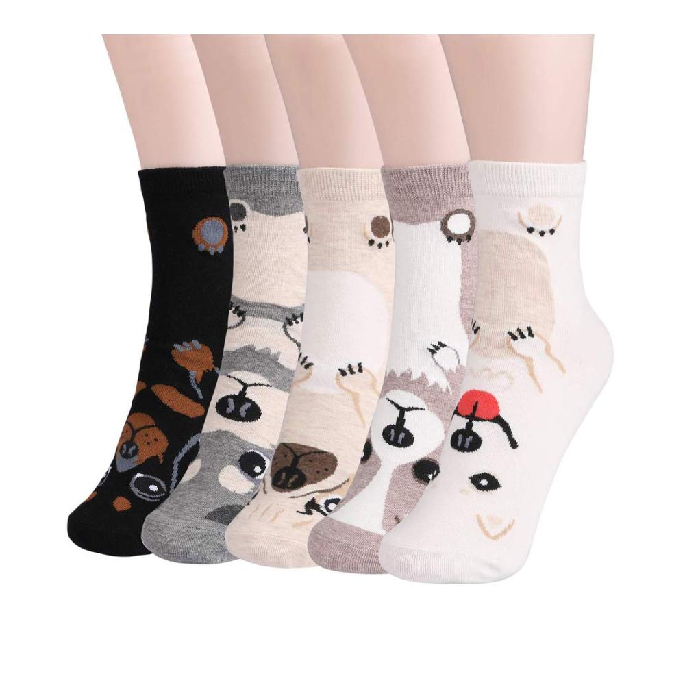 5 Instep Puppy