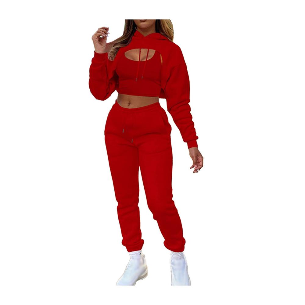 Rot