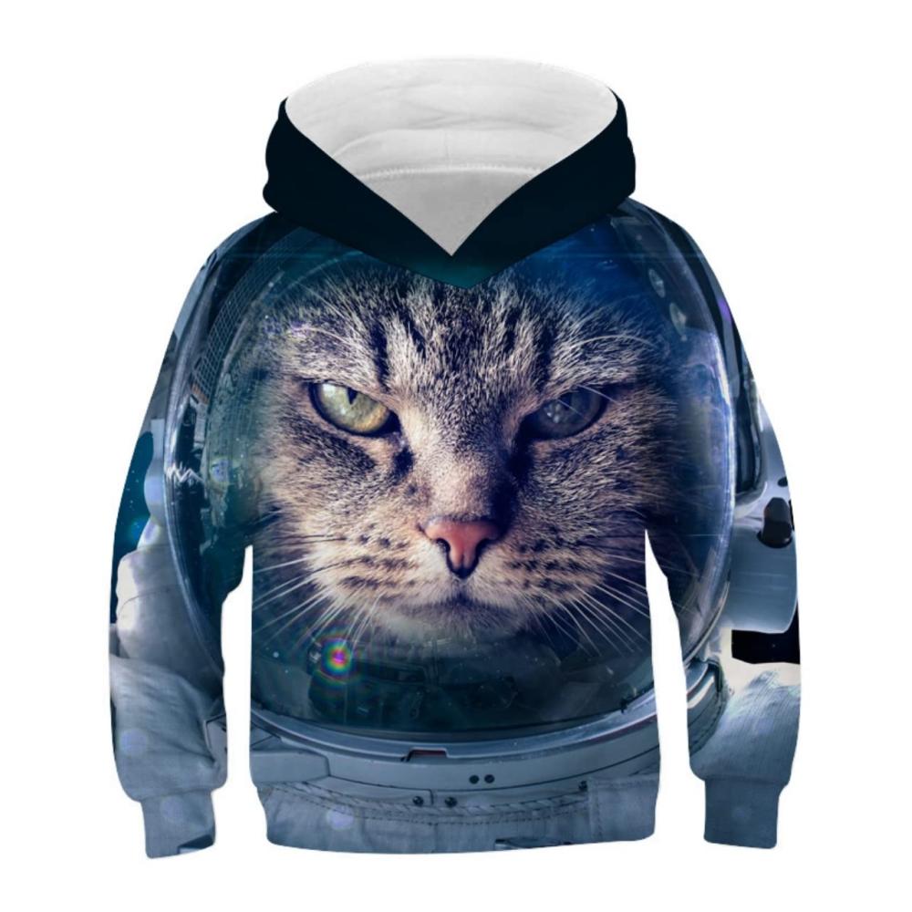 Astronaut Katze