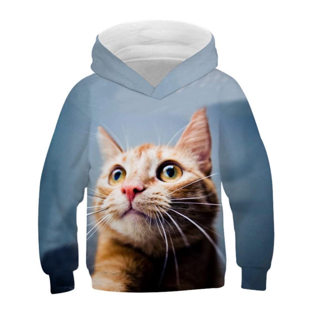 Großkopfkatze