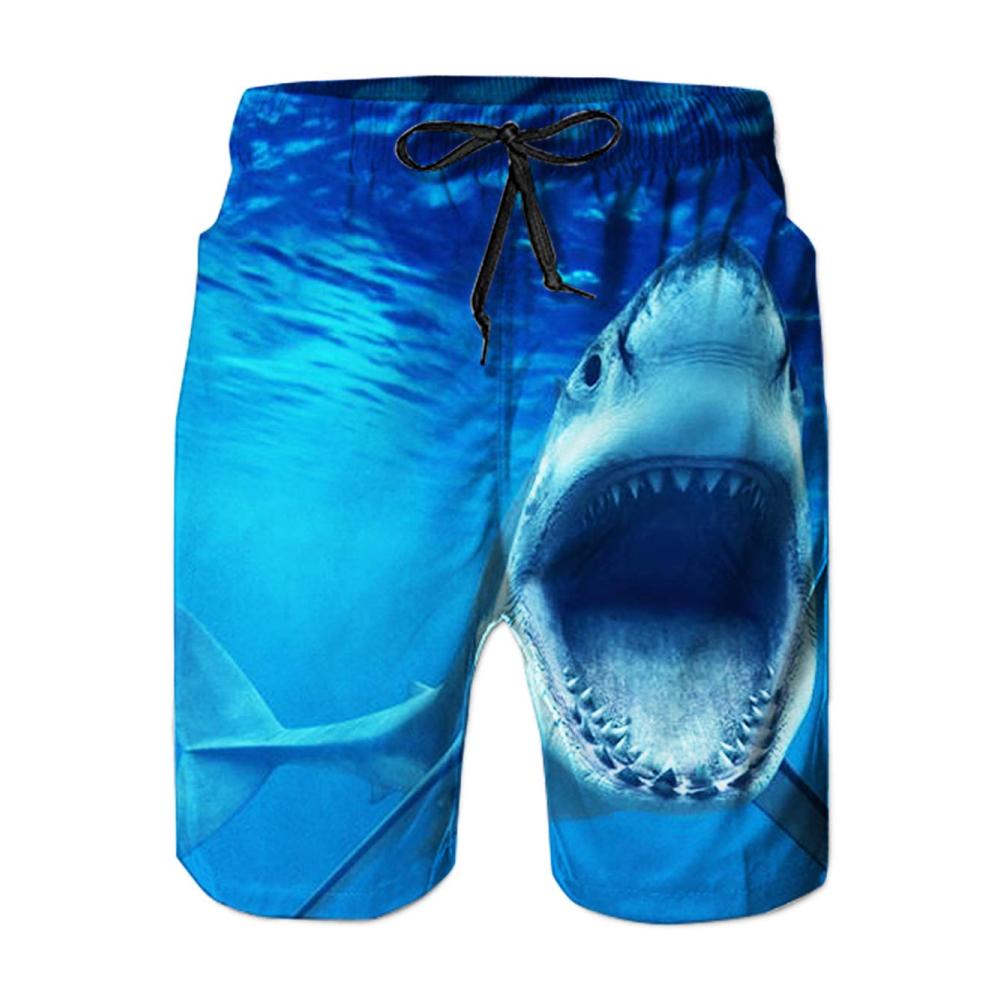 Shark