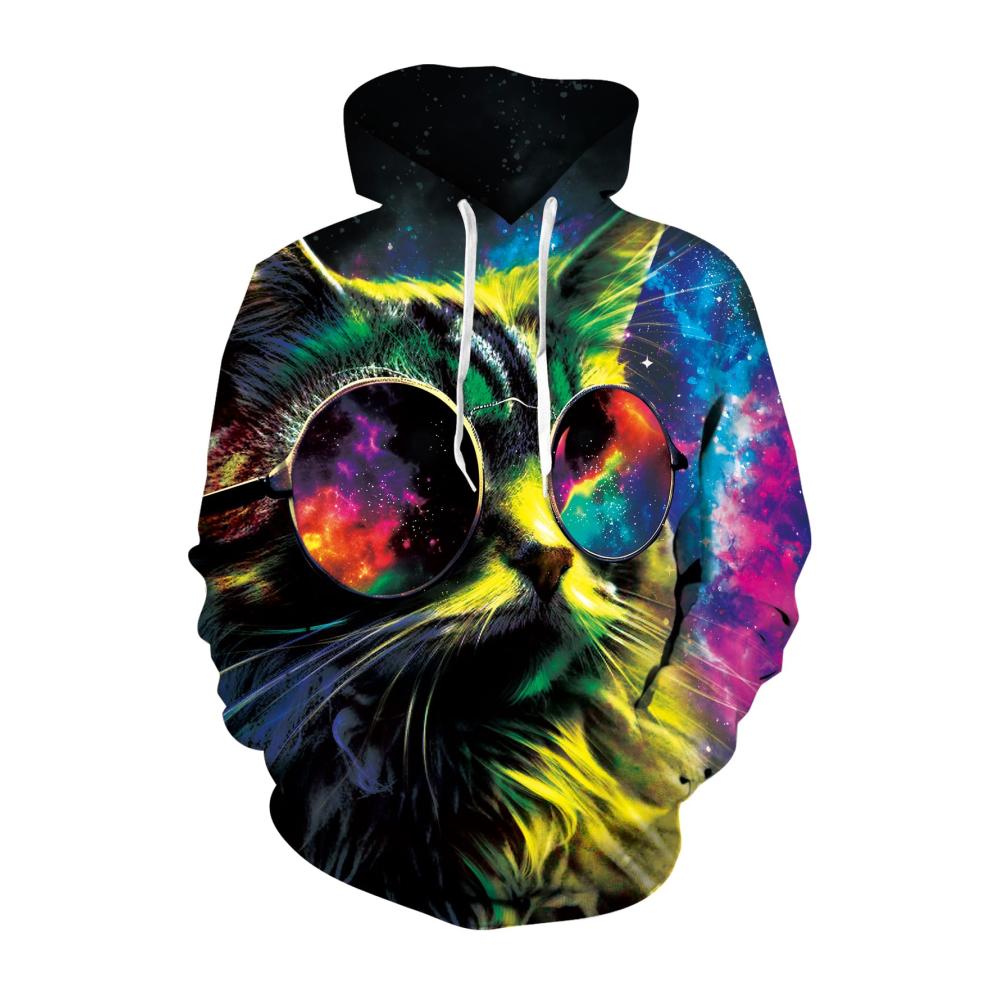 Katze 2