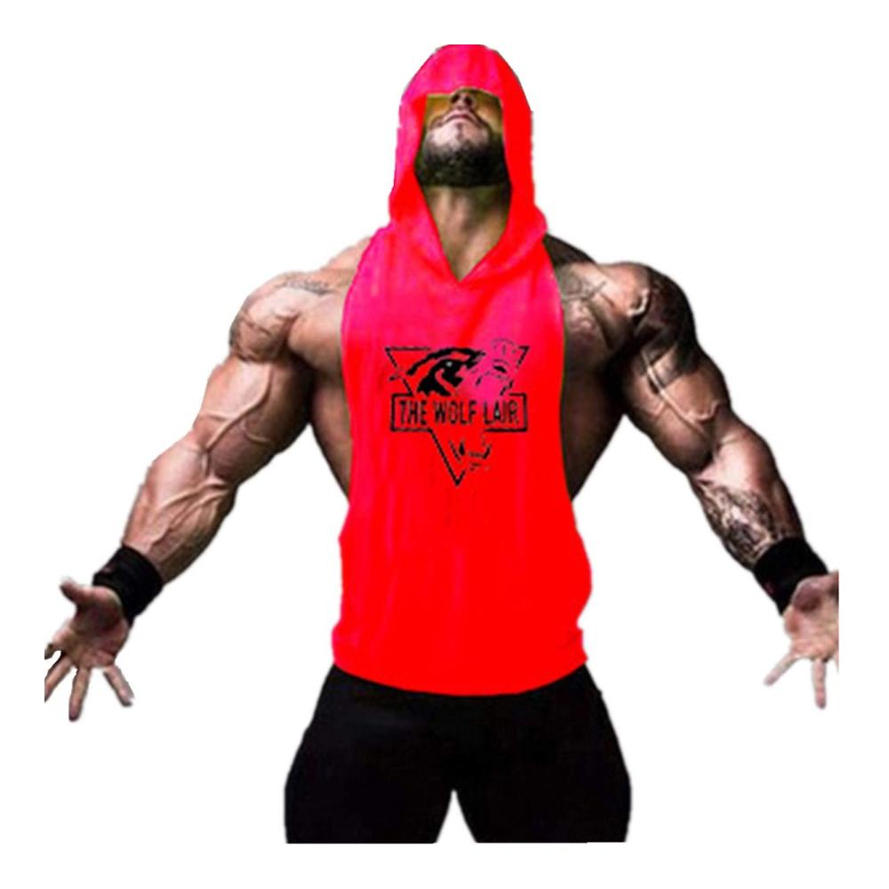 Rot