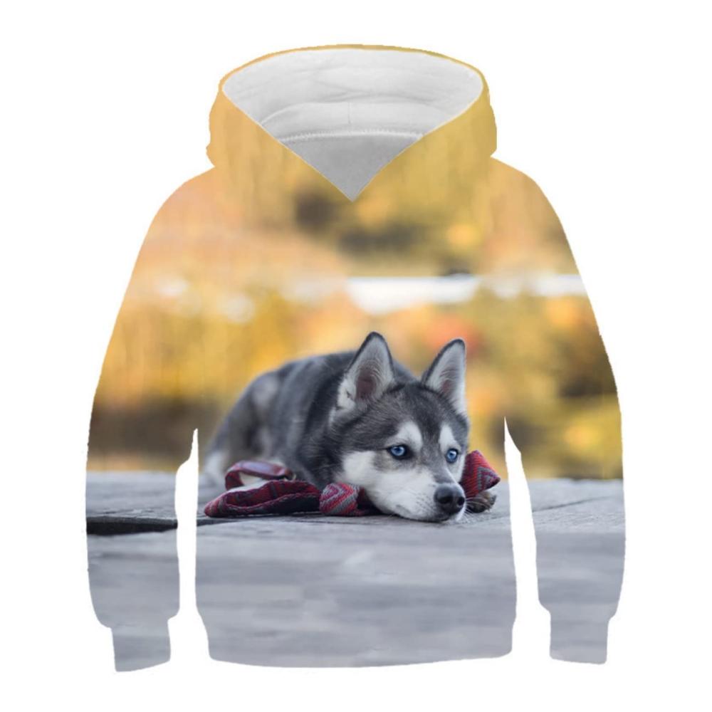 Husky Baby