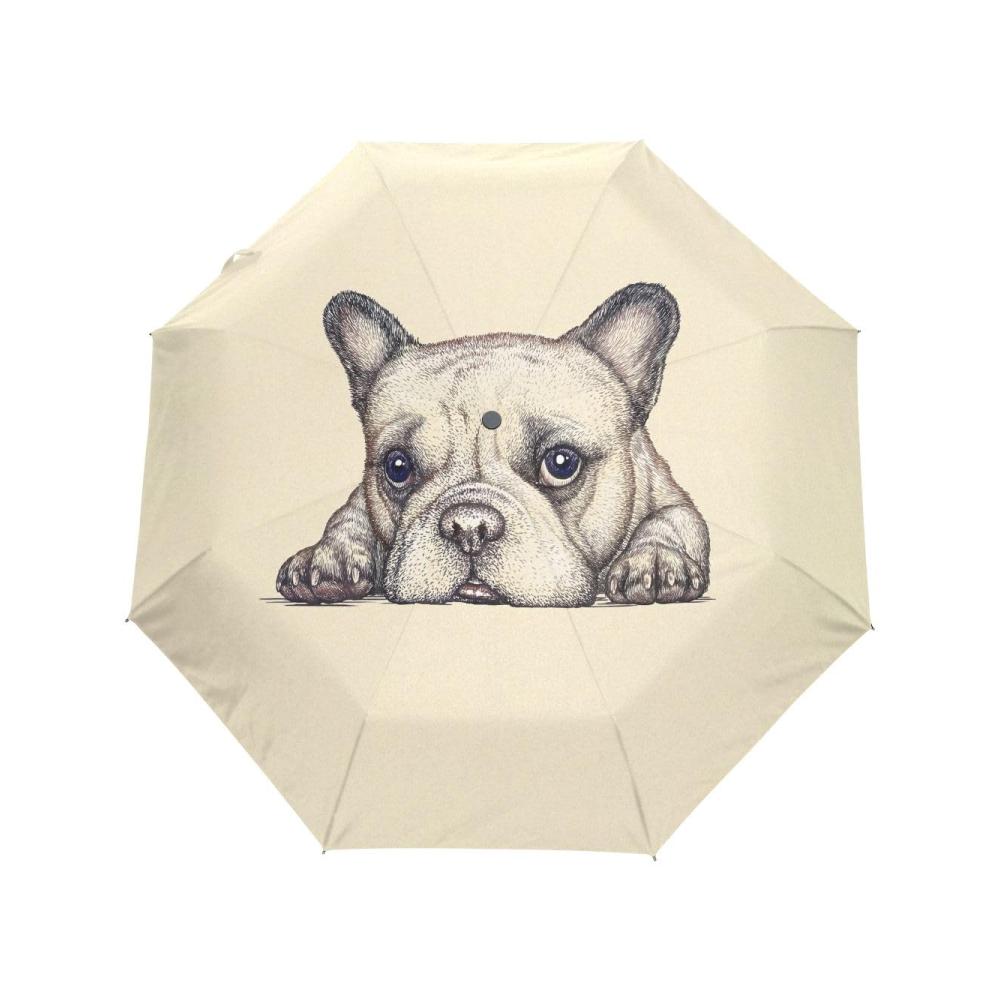 niedliches Hundeporträt auf beige